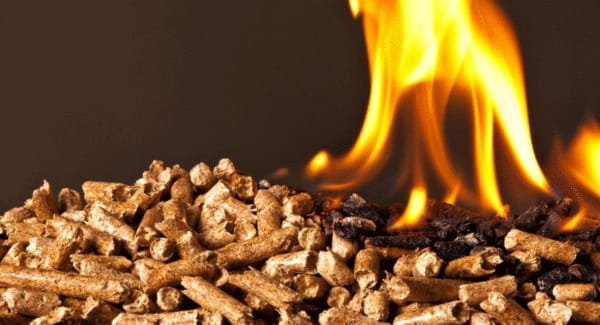 Best Wood Pellets for Pizza Oven