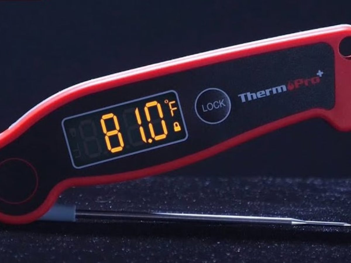 ThermoPro TP-19 Review - ThermoPro TP-19 vs Thermapen